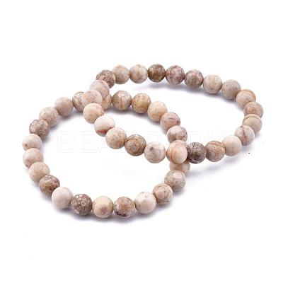 Natural Maifanite/Maifan Stone Bead Stretch Bracelets BJEW-K212-C-044-1