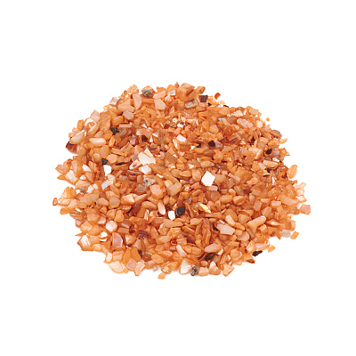 Natural Freshwater Shell Beads X-BSHE-I011-03C-1