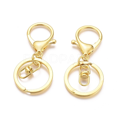 Iron Alloy Lobster Claw Clasp Keychain X-KEYC-D016-G-1