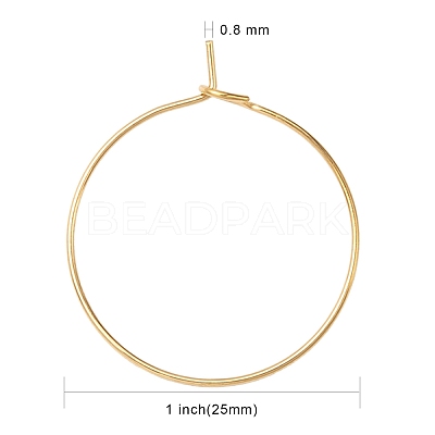 Ion Plating(IP) 316L Surgical Stainless Steel Hoop Earring Findings STAS-D164-01G-1