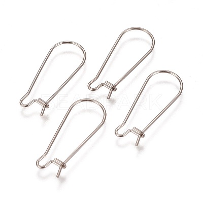 Tarnish Resistant 304 Stainless Steel Hoop Earrings Findings Kidney Ear Wires LS-STAS-L216-22B-P-1