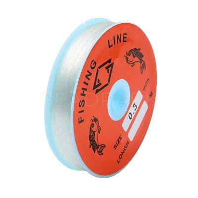 Transparent Fishing Thread Nylon Wire EC-L001-0.3mm-01-1