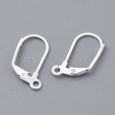 304 Stainless Steel Leverback Earring Findings STAS-K210-28S-1