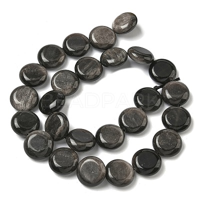 Natural Silver Sheen Obsidian Beads Strands G-L648-B23-15mm-02-1