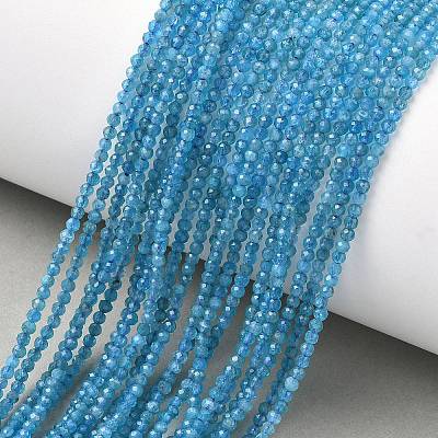Natural Apatite Beads Strands G-Z160-A01-2mm-1