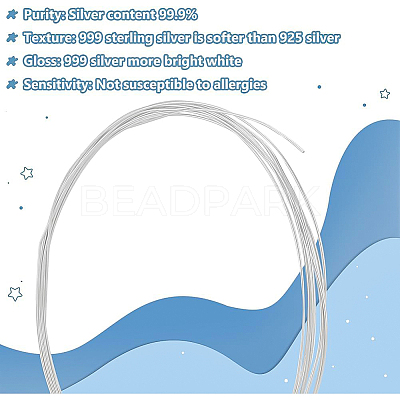 1Pc 999 Fine Silver Wire STER-BC0001-66A-1