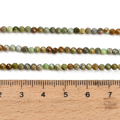 Natural HuBei Turquoise Beads Strands GG-CBA4399-A01-02-1