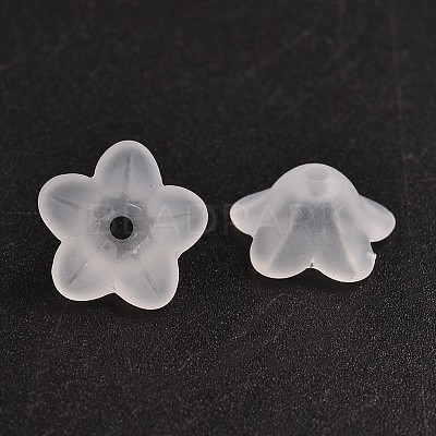 Transparent Acrylic Beads PL560-1