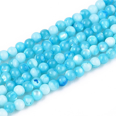 Dyed Natural Trochid Shell/Trochus Shell Beads Strands SSHEL-T017-13B-1