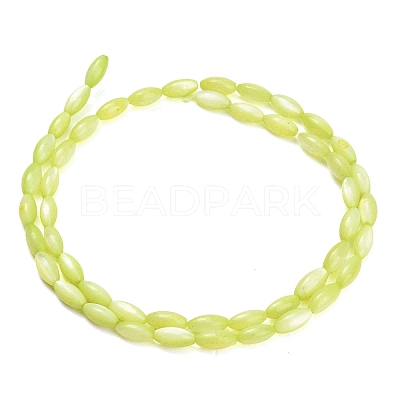 Natural Freshwater Shell Beads Strands X-SHEL-C010-01D-1