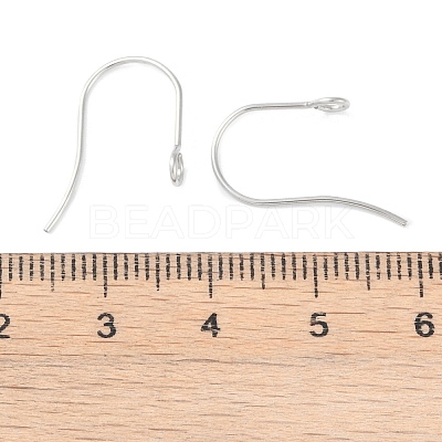 Tarnish Resistant 316 Surgical Stainless Steel Earring Hooks STAS-P162-13P-B01-1