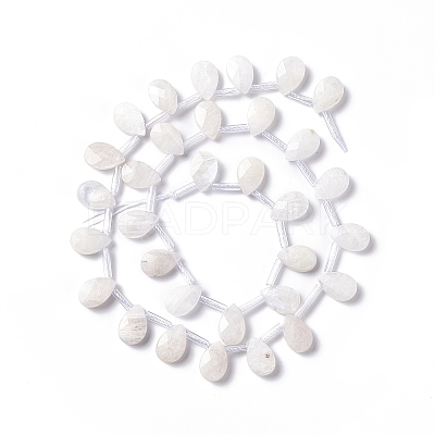 Natural Rainbow Moonstone Beads Strands G-G805-B16-1
