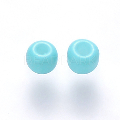 12/0 Baking Paint Glass Round Seed Beads SEED-S036-01A-13-1