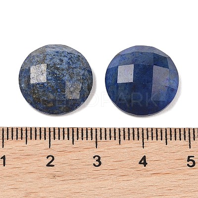 Natural Lapis Lazuli Cabochons X-G-C146-03I-1