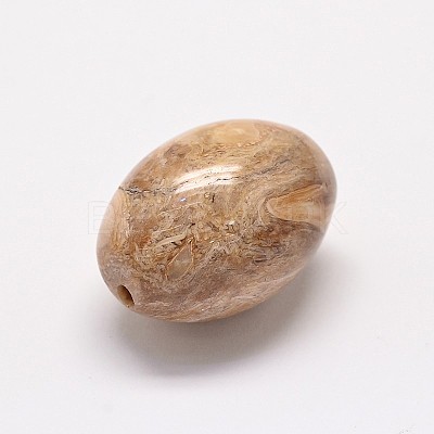 Natural Petrified Wood Beads G-P076-34B-1