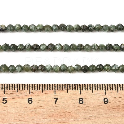 Natural Seraphinite Beads Strands G-K376-A02-3mm-1
