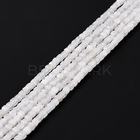 Natural Rainbow Moonstone Beads Strands G-K315-B08-1