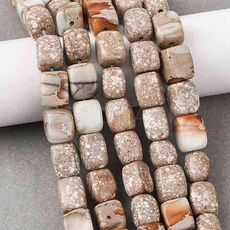 Natural Aqua Terra Jasper Beads Strands G-B155-D15-1