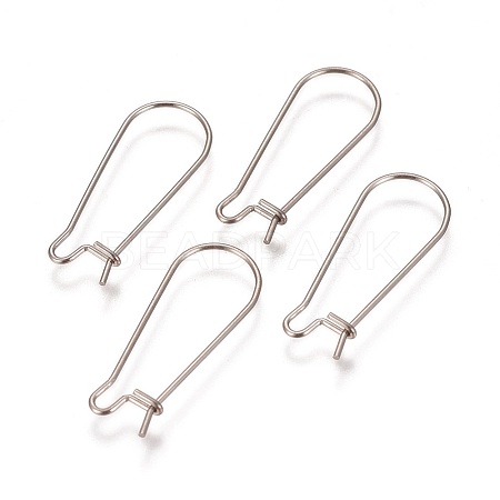 Tarnish Resistant 304 Stainless Steel Hoop Earrings Findings Kidney Ear Wires LS-STAS-L216-22B-P-1