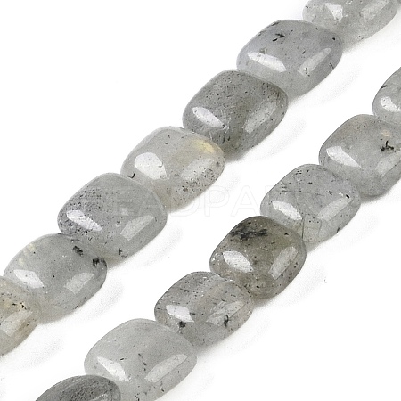 Natural Labradorite Beads Strands G-M435-A11-01-1