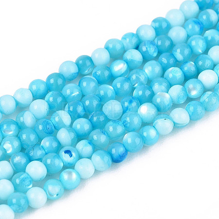 Dyed Natural Trochid Shell/Trochus Shell Beads Strands SSHEL-T017-13B-1