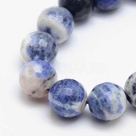 Natural Sodalite Beads Strands G-L149-10mm-01-1