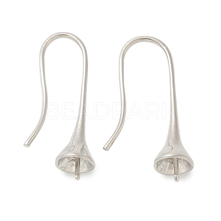 Brass Earring Hooks KK-I655-10P-1