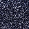 MIYUKI Round Rocailles Beads SEED-G007-RR0171-3