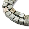 Natural Variscite Beads Strands G-B155-C05-8x8mm-4