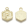 Alloy Pendants PALLOY-N157-003P-NR-3