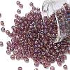 TOHO 6/0 Round Beads SEED-XTR06-0166B-1