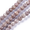 Natural Maifanite/Maifan Stone Beads Strands G-L500-03A-6mm-1
