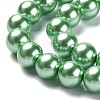 Eco-Friendly Dyed Glass Pearl Round Beads Strands HY-A002-12mm-RB008N-3