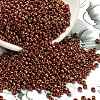 TOHO 8/0 Round Beads SEED-TR08-1708-1