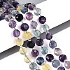Natural Rainbow Fluorite Beads Strands G-B153-B16-1
