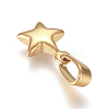 304 Stainless Steel Charms STAS-I127-067G-01-2