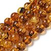 Natural Amber Beads Strands G-K387-D02-02-2