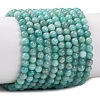 Natural Amazonite Beads Strands G-G453-A02-4mm-2