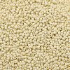 TOHO 11/0 Round Beads SEED-XTR11-0051F-2