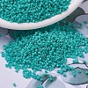 MIYUKI Delica Beads SEED-X0054-DB0729-1