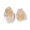 Rough Raw Natural Citrine Beads G-WH0003-02-2