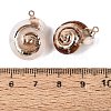 Electroplate Natural Spiral Shell Pendants SSHEL-Q100-34G-3