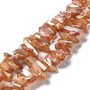 Natural Quartz Crystal Points Beads Strands G-K181-B26-2