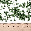 MIYUKI Round Rocailles Beads SEED-X0055-RR0158-4