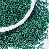 MIYUKI Delica Beads SEED-J020-DB0656-1