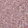 MIYUKI Delica Beads SEED-X0054-DB1243-4