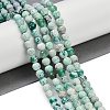 Natural Fire Crackle Agate Beads Strands G-C082-A01-46-1