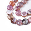 Natural Fire Crackle Agate Beads Strands X-G-S359-372-3