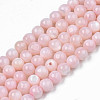 Natural Freshwater Shell Beads Strands SHEL-N003-24-B09-1
