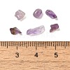 Natural Amethyst Chip Beads G-Q193-02C-3
